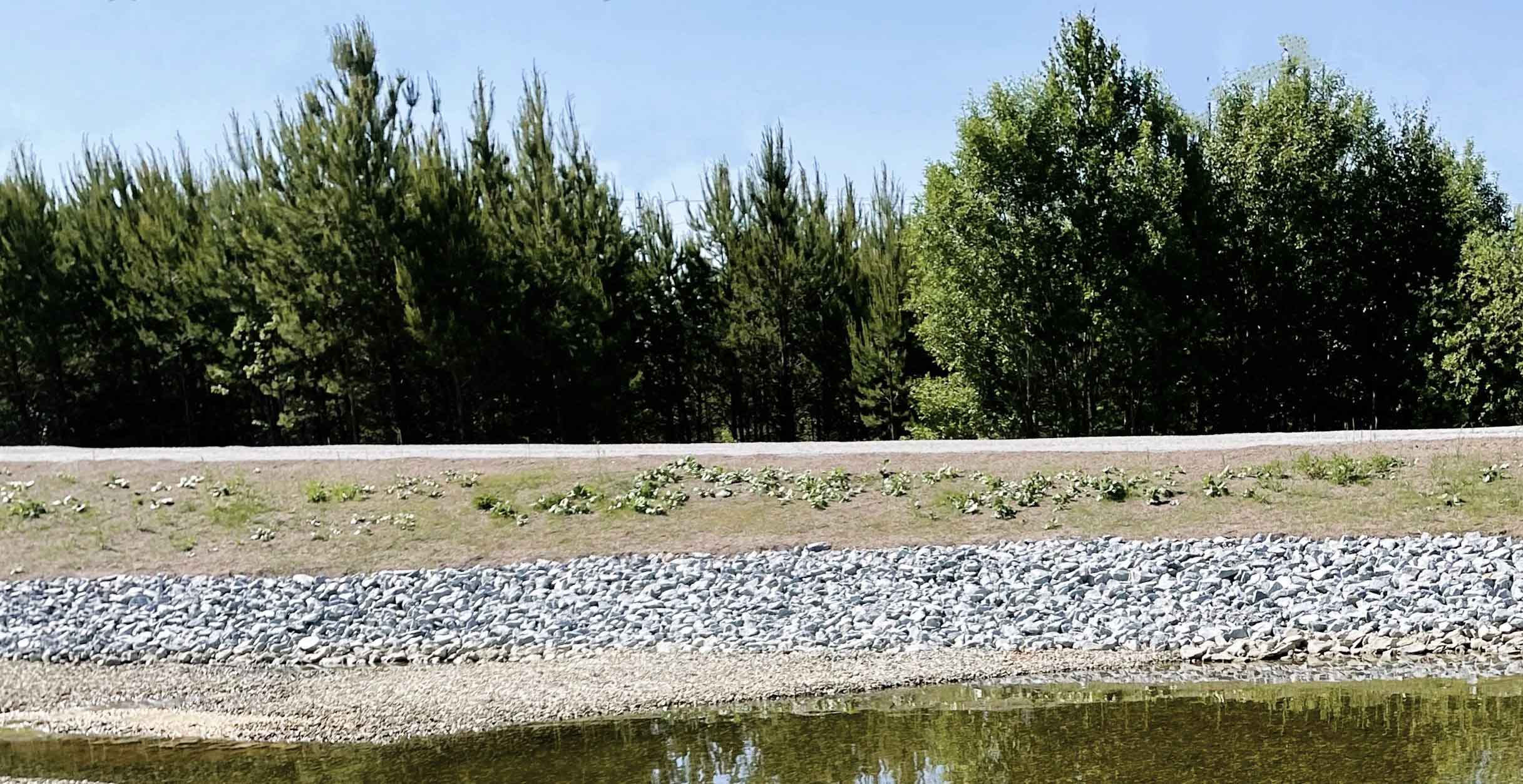 En av de vattenrenande dammarna belägen i Arlandastad